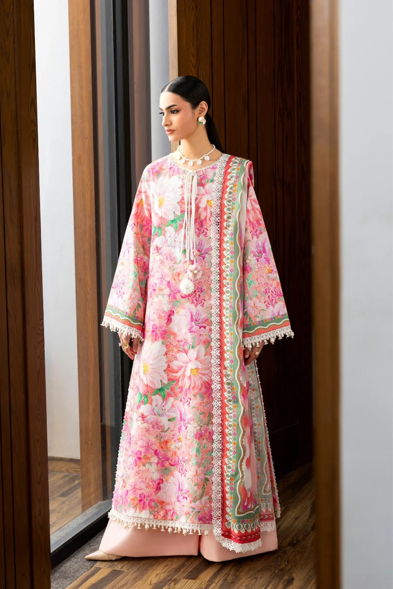 Peony NAQSH