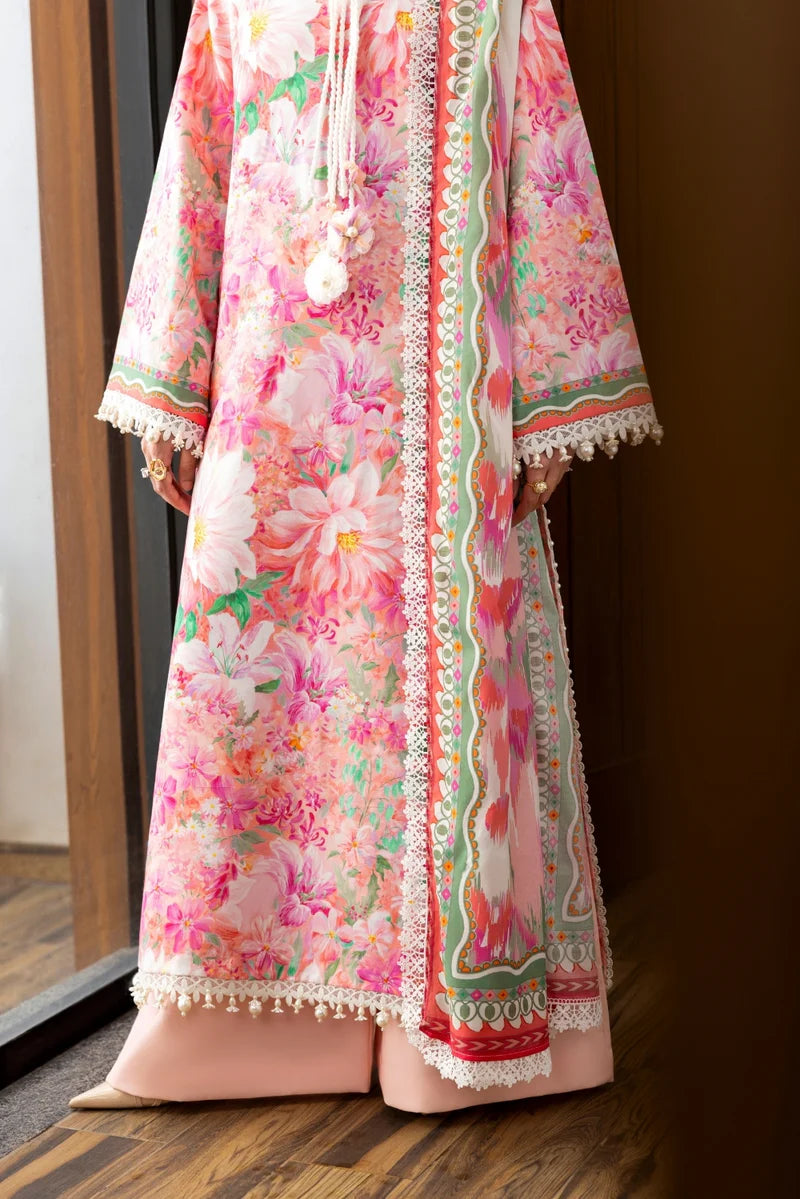 Peony NAQSH