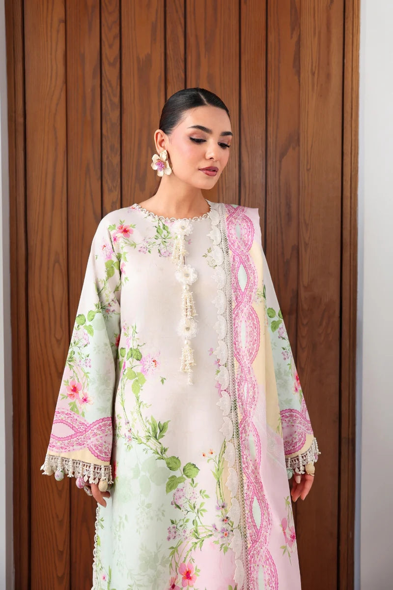Petaline  Naqsh