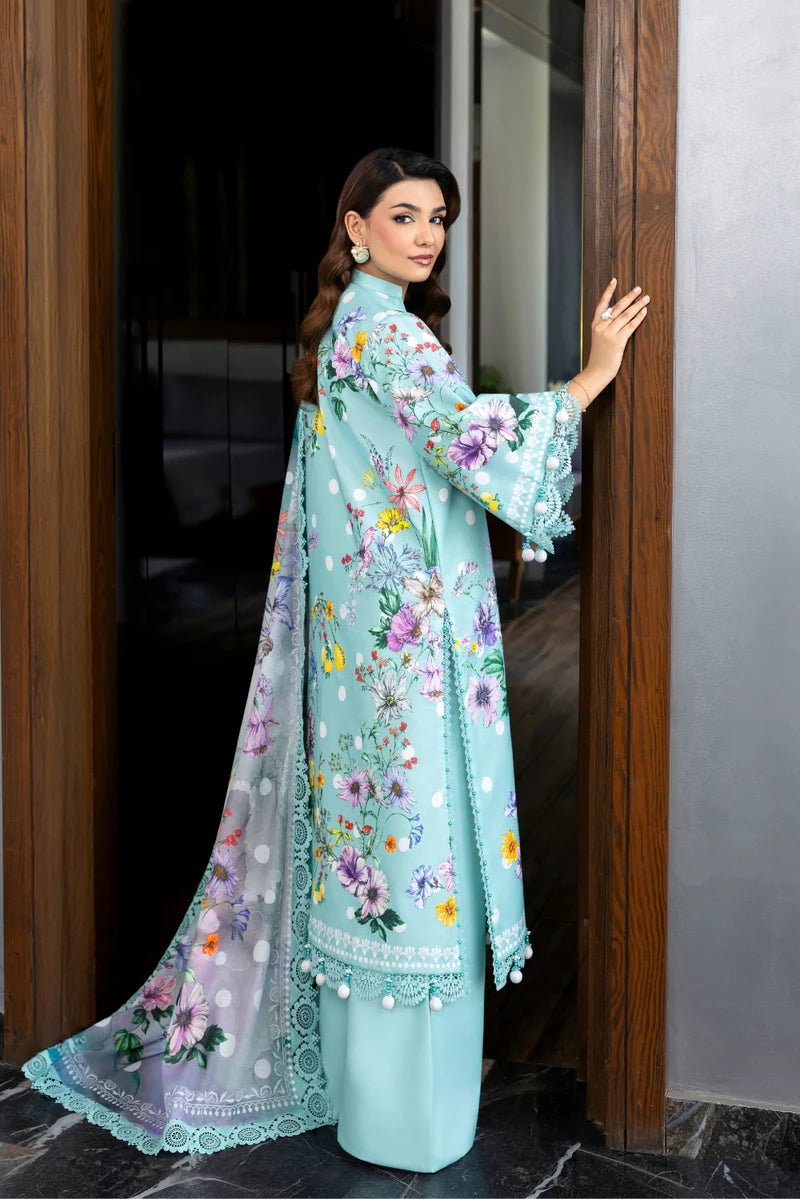 Cerulean NAQSH
